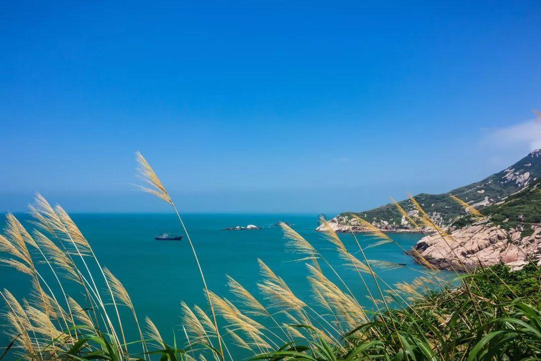 极限巅峰
