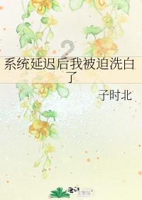 我的世界记忆卡