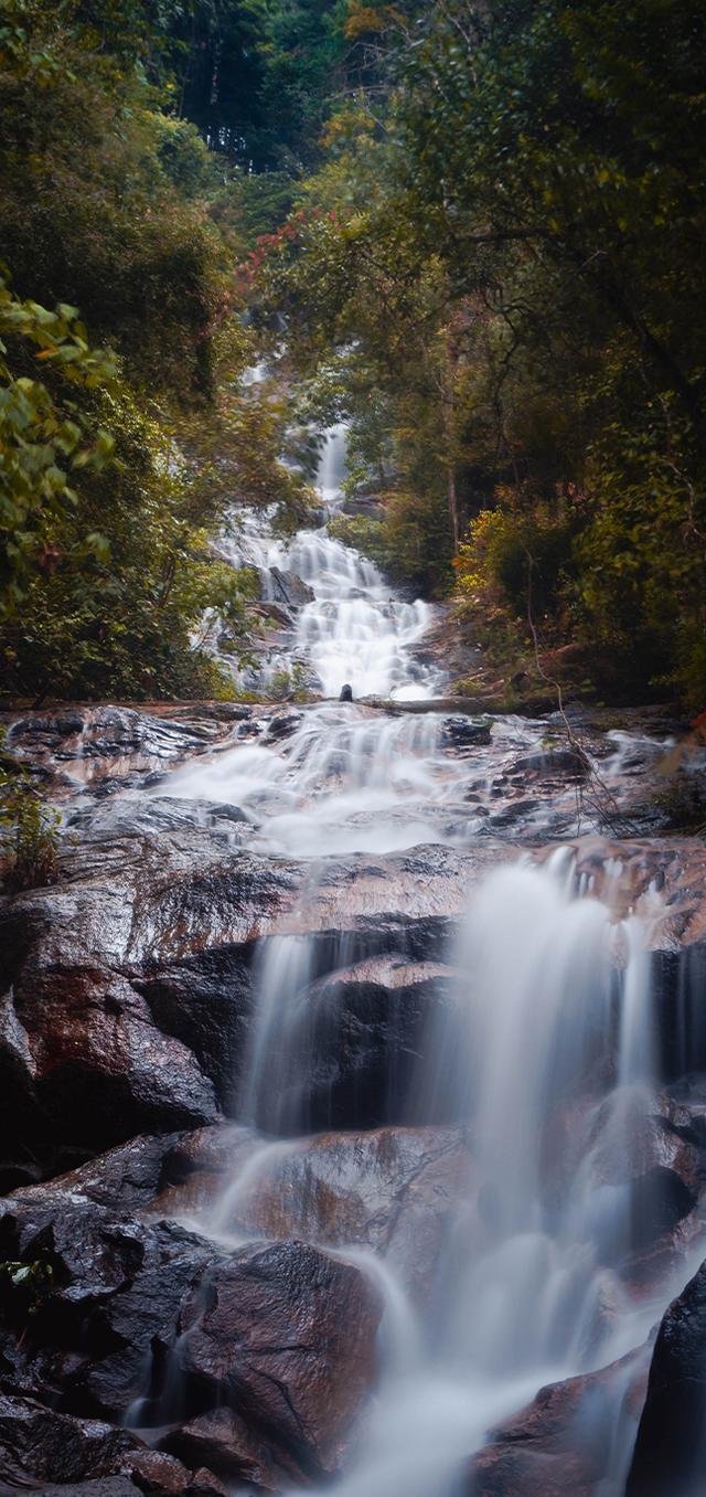 逆水寒