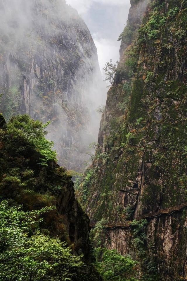 飞跃沙丘的小球
