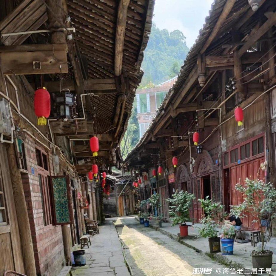 应家柏:澳门赛驹到港出赛需符合条件,不会开特别通道!