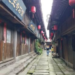 杨淑丽当选宁夏回族自治区政协副主席